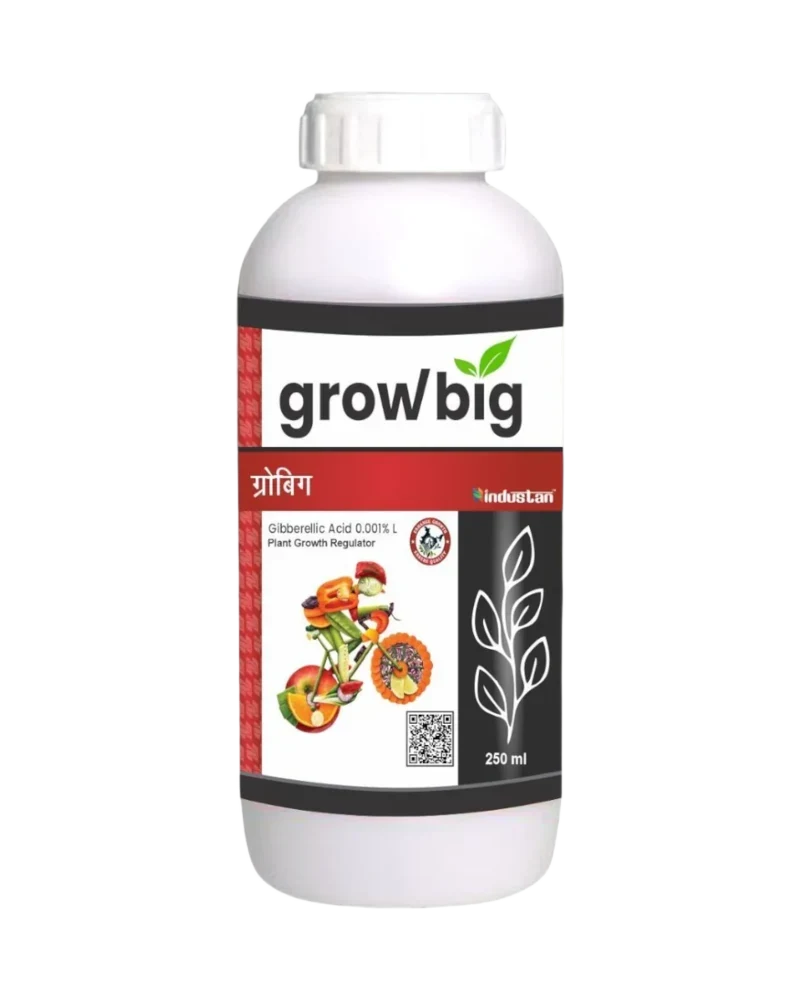 Grow Big Gibberellic Acid 0.001% L product pack